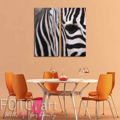 foto op canvas zebra