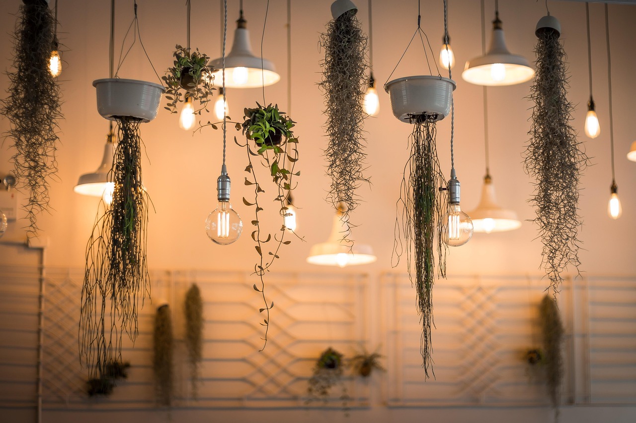Kleine ruimte met hangplanten en groene sfeer.