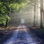 Maximaliseer je werkplek met natuurlijke lichtinval