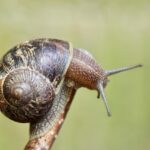 Zonweringsensoren: de ultieme zomer upgrade voor je huis