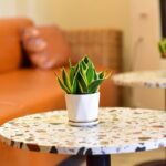 Kleurrijke terrazzo accessoires voor de zomer: hoe je je interieur kunt opvrolijken