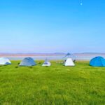 Camper posters: terug naar de natuur in je interieur